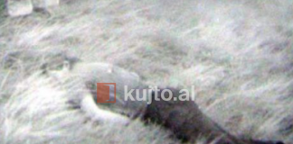 Vrasjet në kufi, katër të rinjtë korçarë që u pushkatuan në Rehovë