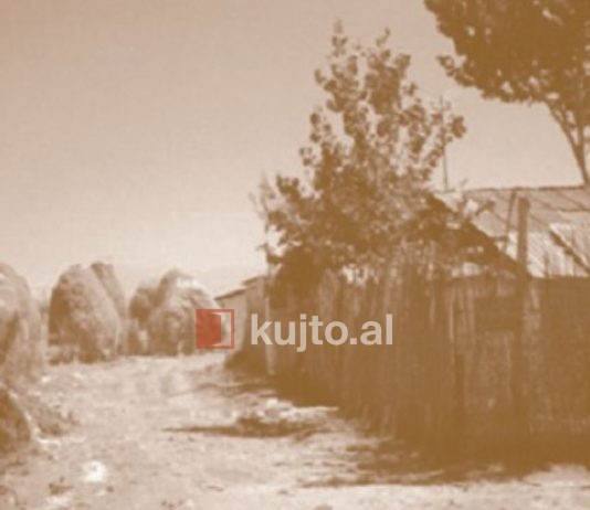 Relacioni i gushtit 1959/ Mbi 300 të shpërngulur dhunisht nga Korça, jetojnë në mjerim në barakat e Lushnjës