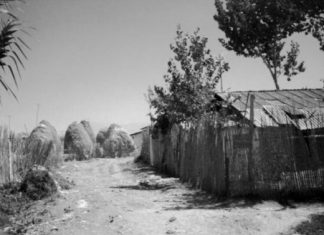 Kampi i Plugut, qershor 1951– nëntor 1953