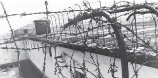 Dënim me burgim të përjetshëm sepse "ka qenë sekretar i rinisë së Ballit Kombëtar”