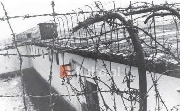 1978/“Programi i riedukimit” ndaj të dënuarve politikë