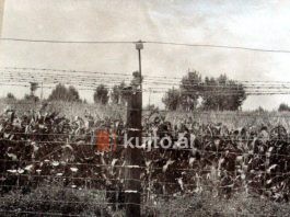 Kur kufiri ruhej edhe nga populli i armatosur dhe forcat vullnetare