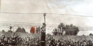 Kur kufiri ruhej edhe nga populli i armatosur dhe forcat vullnetare